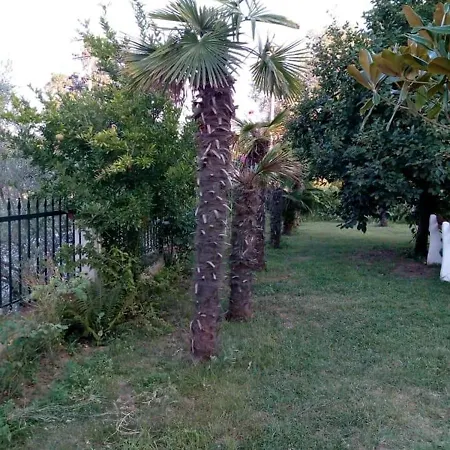 Lejlighedshotel Vila Electra 1