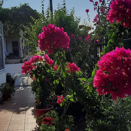 Vila Electra 1 Lejlighedshotel Makrygialos